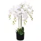 Cserepes fehér műorchidea 75 cm