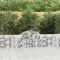 40 db íves horganyzott vas gabion kosár 200x30x60/80 cm