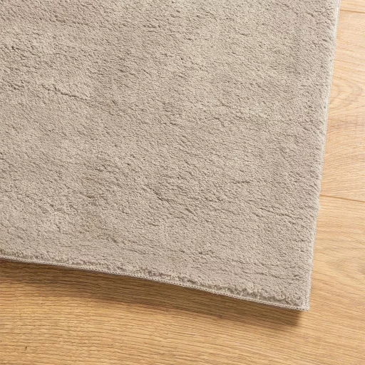 HUARTE homokszínű rövid szálú puha és mosható szőnyeg 100x200cm