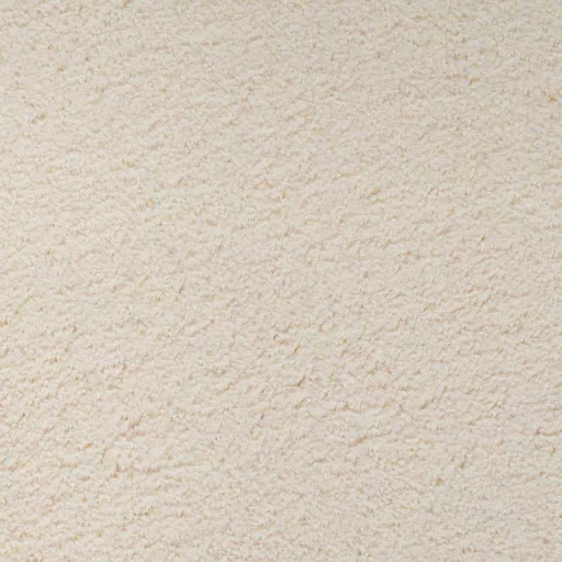 Területszőnyegek HUARTE Bézs 120 x 170 cm Poliészter