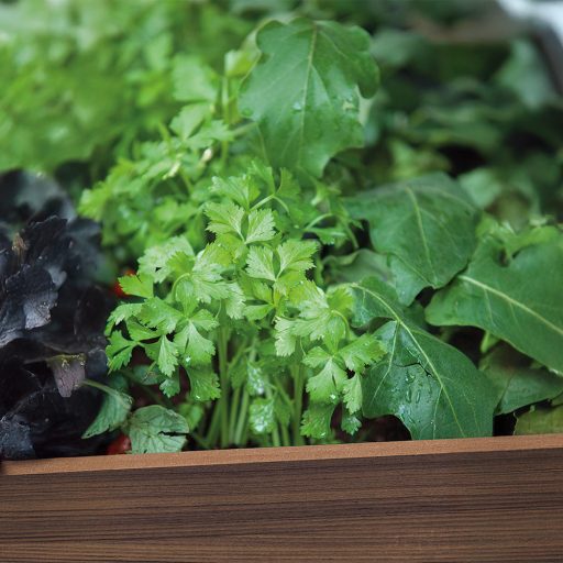 Deco elevated műanyag kerti virágláda alsó polccal 110L