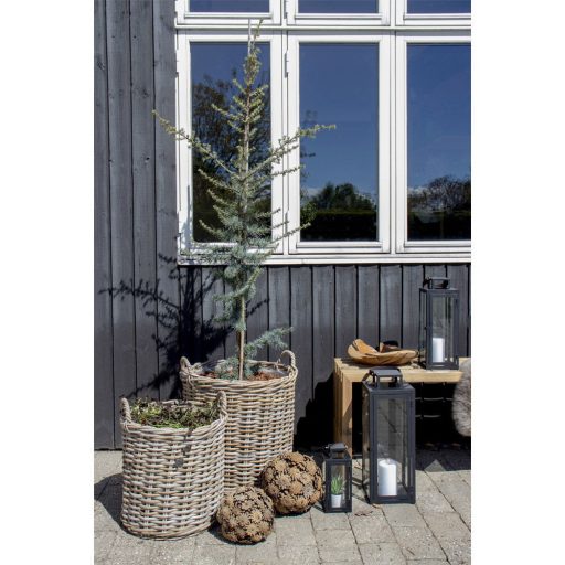 Indo kosarak, kubu rattan, natúr 2db