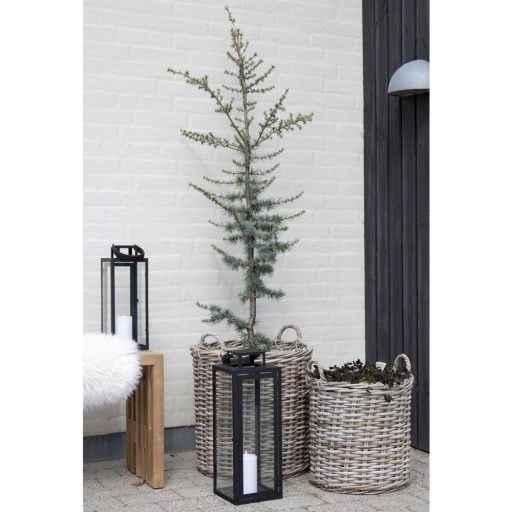 Indo kosarak, kubu rattan, natúr 2db