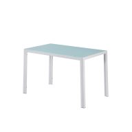 Ezra 120 cm szögletes üveg étkezőasztal