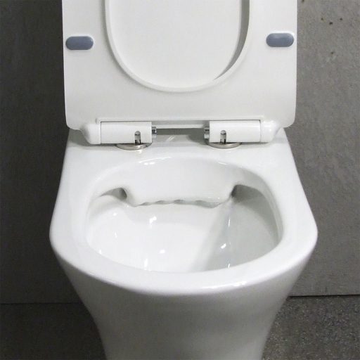 Makalu monoblokkos kompakt WC hátsó kifolyással ülőkével