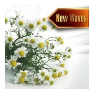 NW Kamilla Pezsgőfürdő illatosító emulzió