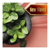 Szauna illatosító borsmenta illat