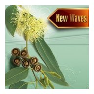 Szauna illatosító eukaliptusz illat