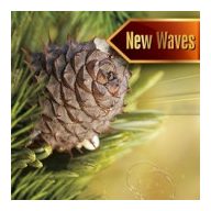 Szauna illatosító fenyő illat