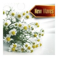 Szauna illatosító kamilla illat