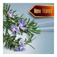 Szauna illatosító rozmaring illat