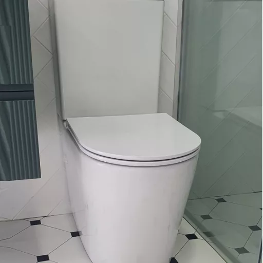 Eros ES AVVA monoblokk WC - perem nélküli - WC ülőkével komplett