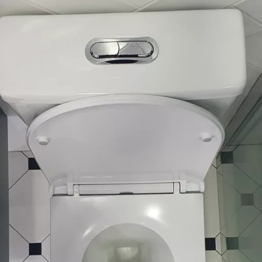 Eros ES AVVA monoblokk WC - perem nélküli - WC ülőkével komplett